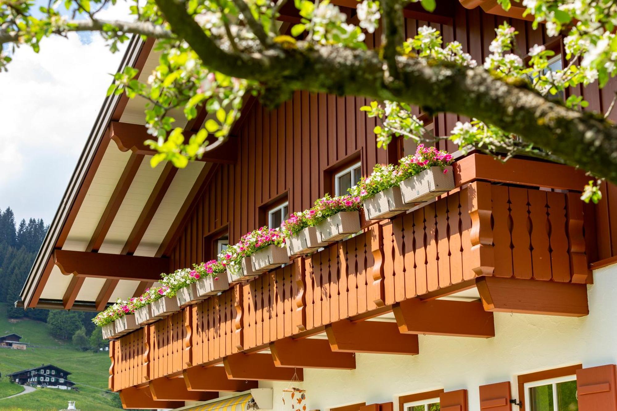 Апартаменты Haus Berg & Tal Хиршегг Экстерьер фото
